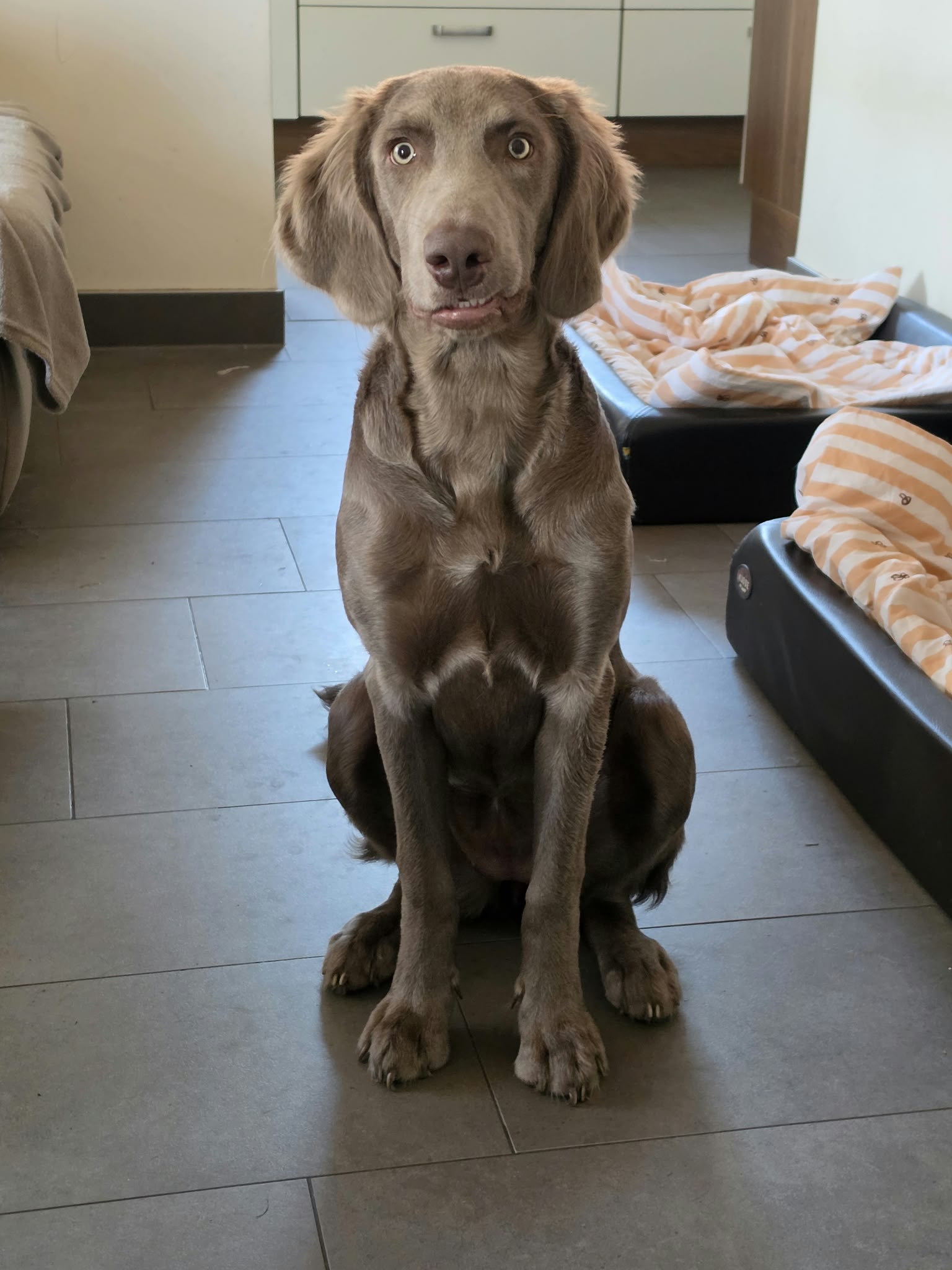 Elfriede2